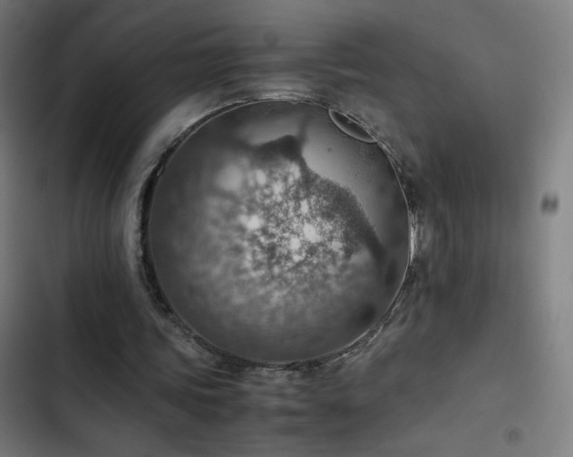 X0000103410339200809121310