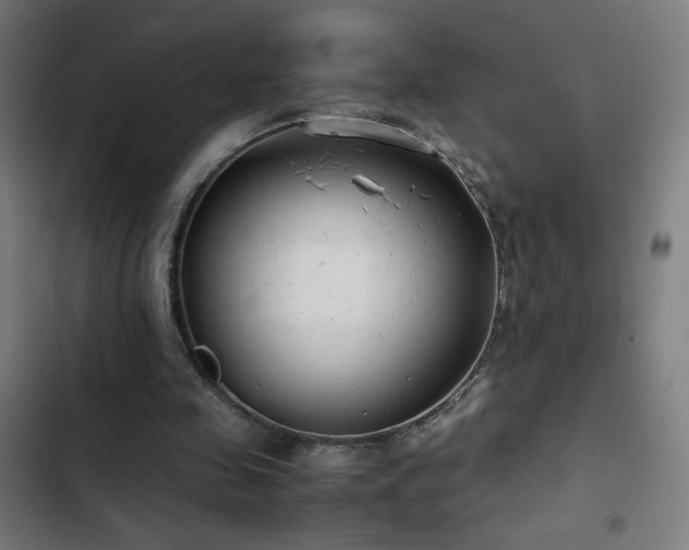 X0000103410341200809121310