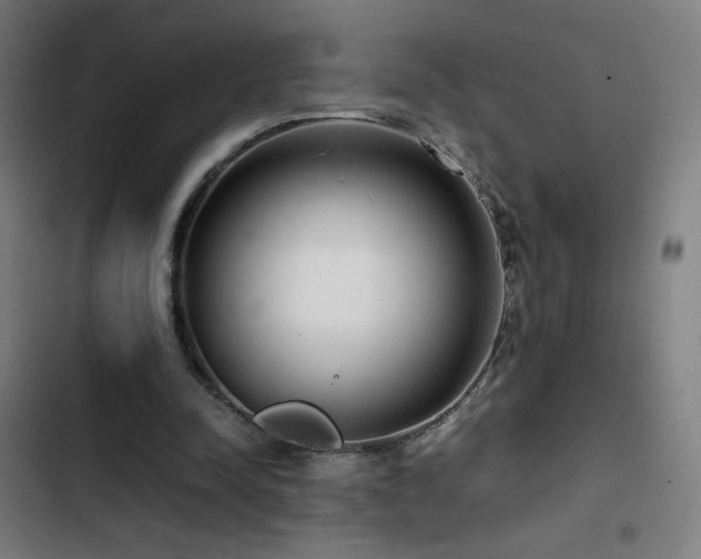 X0000103410342200809121310