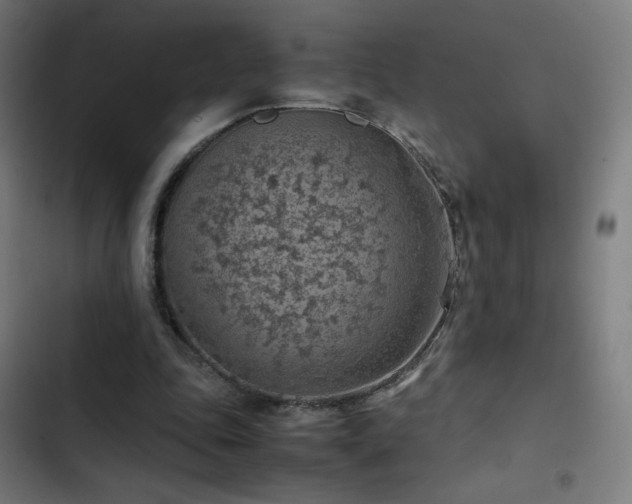 X0000103410343200809121310