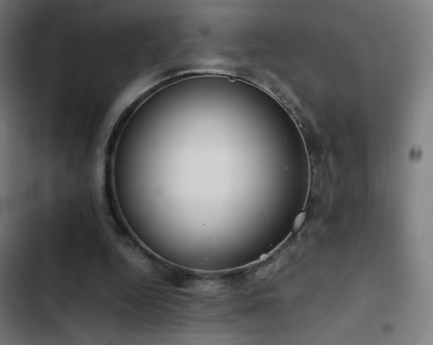 X0000103410344200809121310