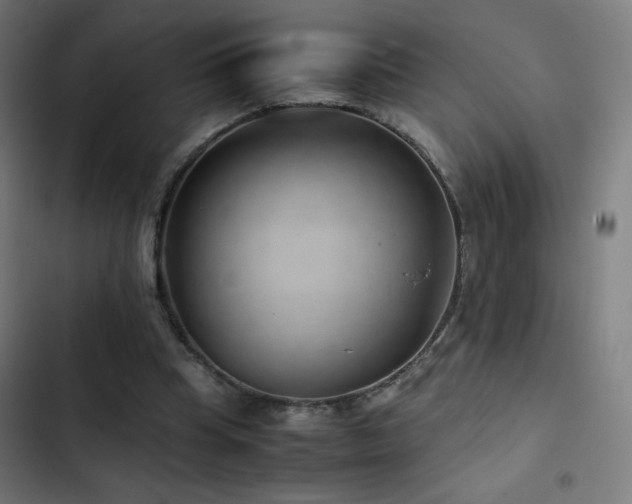 X0000103410345200809121310