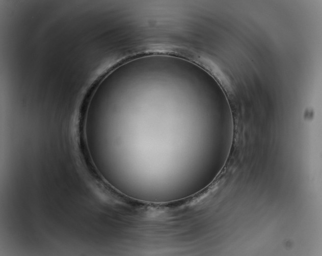 X0000103410346200809121311