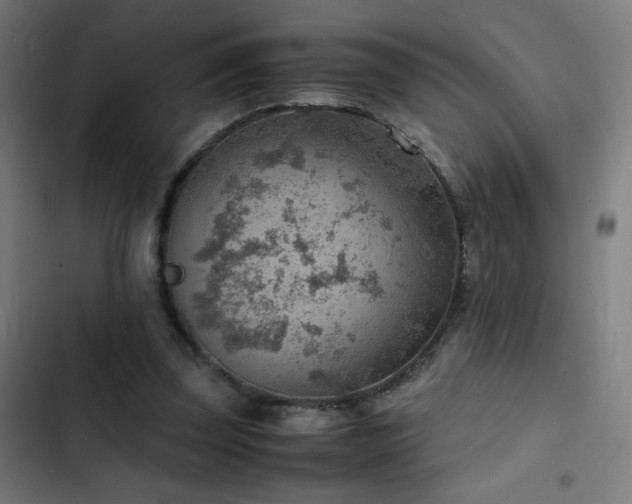 X0000103410347200809121311