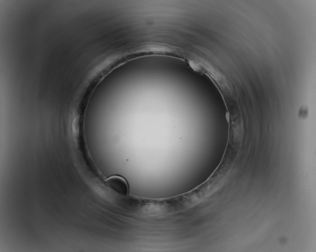 X0000103410350200809121311