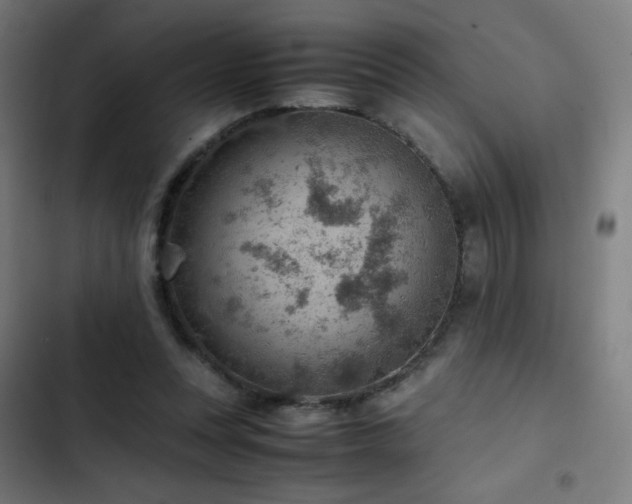 X0000103410351200809121311