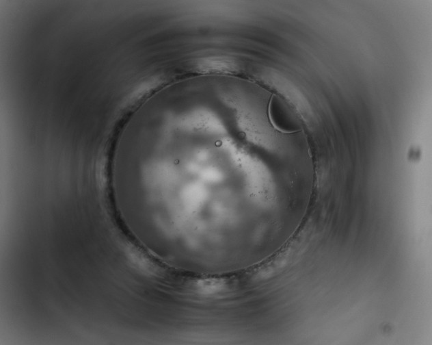 X0000103410353200809121311