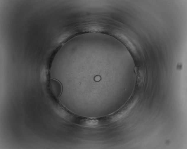 X0000103410355200809121311