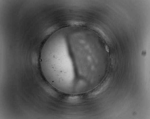 X0000103410357200809121311