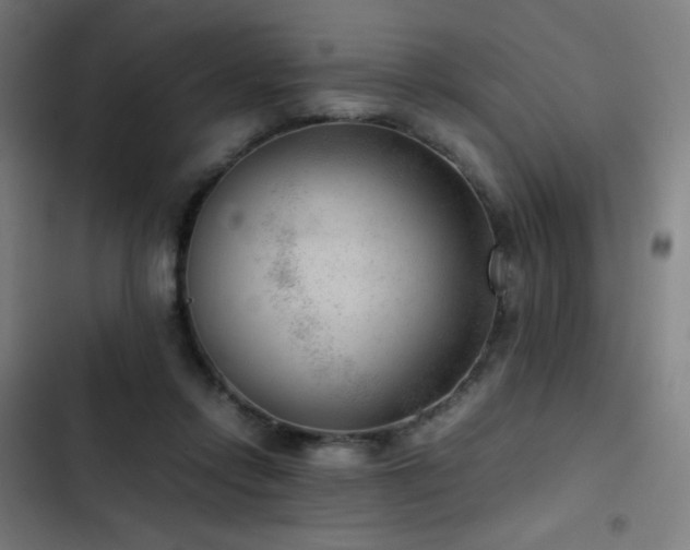 X0000103410358200809121311