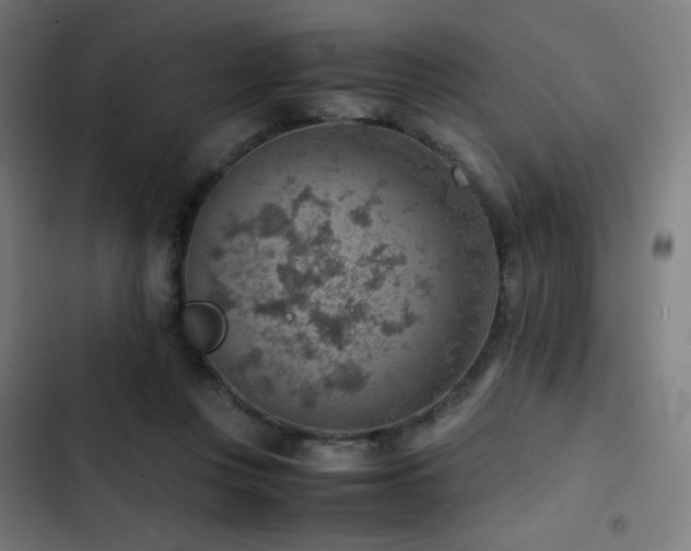 X0000103410359200809121311