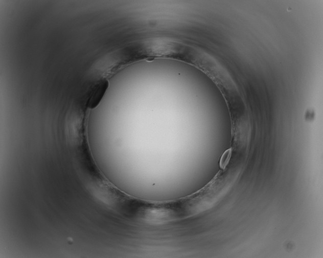 X0000103410360200809121311