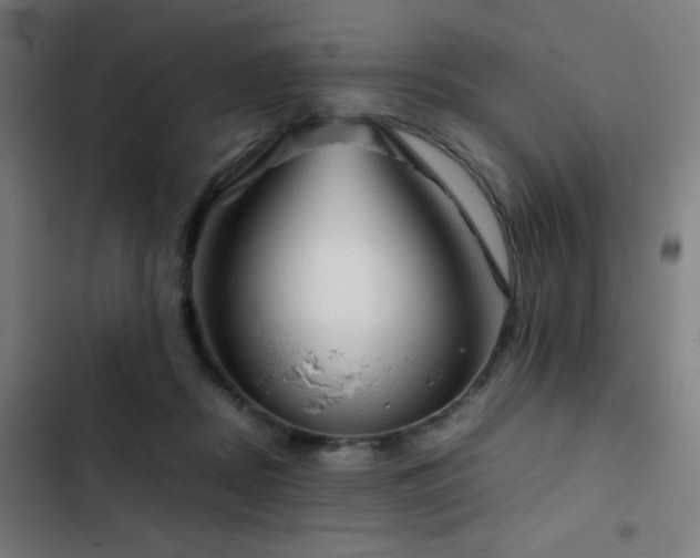 X0000103410362200809121311