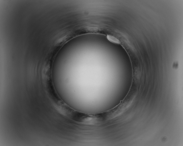 X0000103410364200809121311