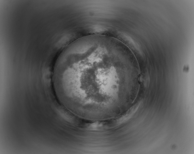 X0000103410366200809121311