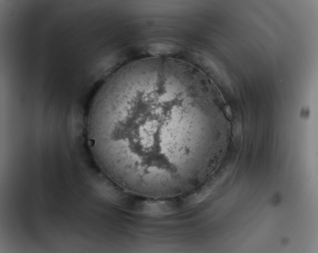 X0000103410367200809121311