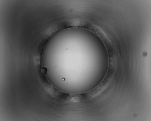 X0000103410368200809121311