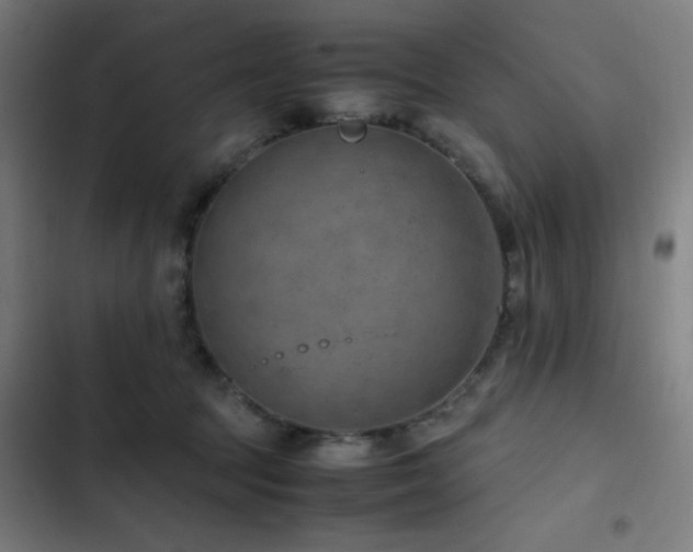 X0000103410369200809121311