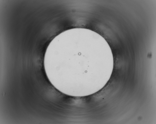 X0000103410370200809121311