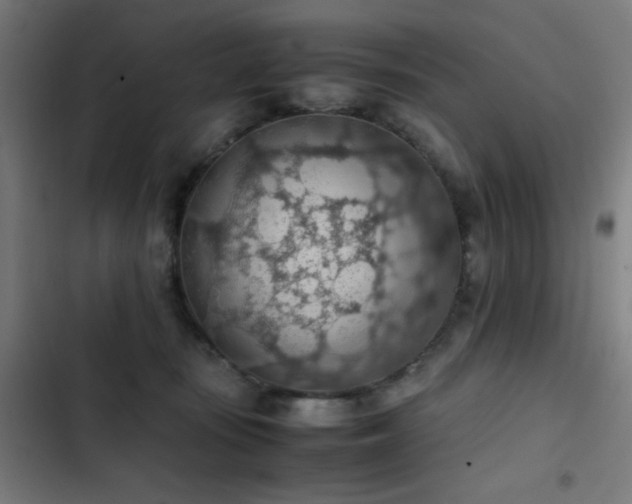 X0000103410371200809121311