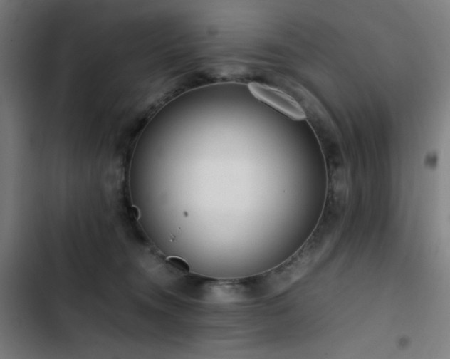 X0000103410372200809121311