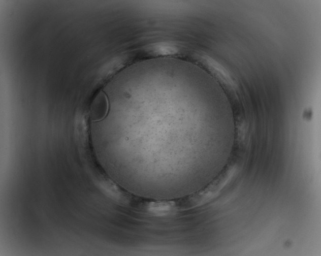 X0000103410373200809121311