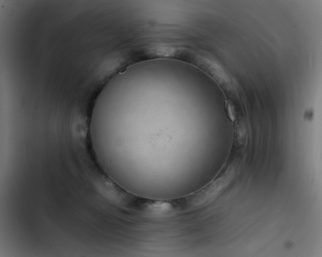 X0000103410374200809121311