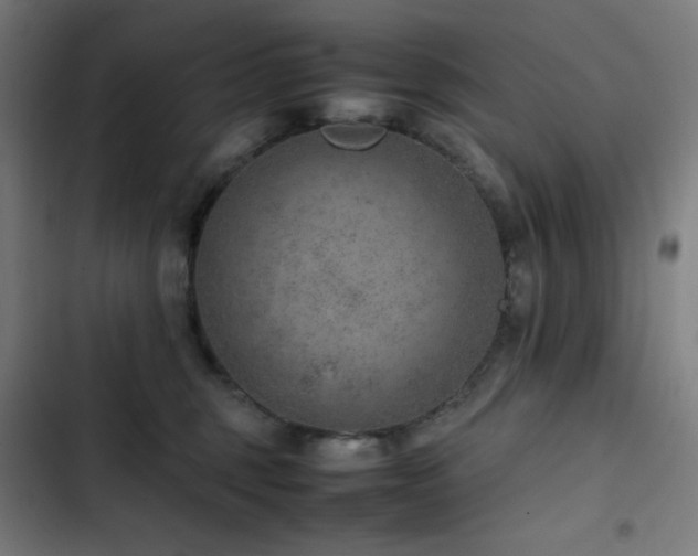 X0000103410375200809121311