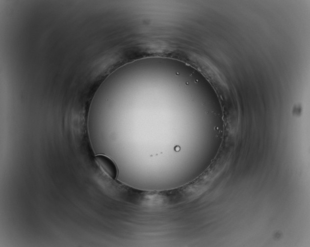 X0000103410376200809121311