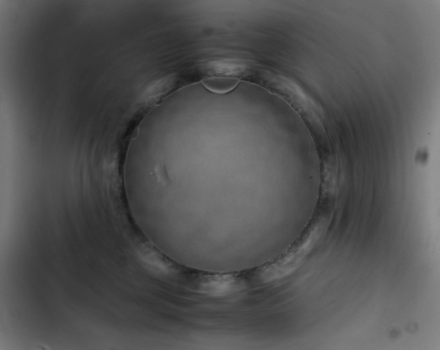 X0000103410377200809121311