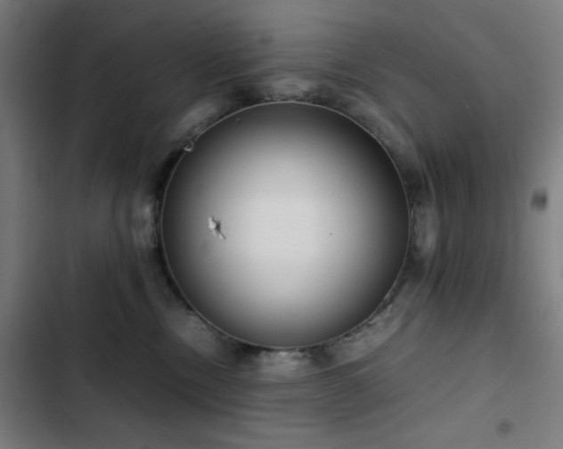 X0000103410378200809121311