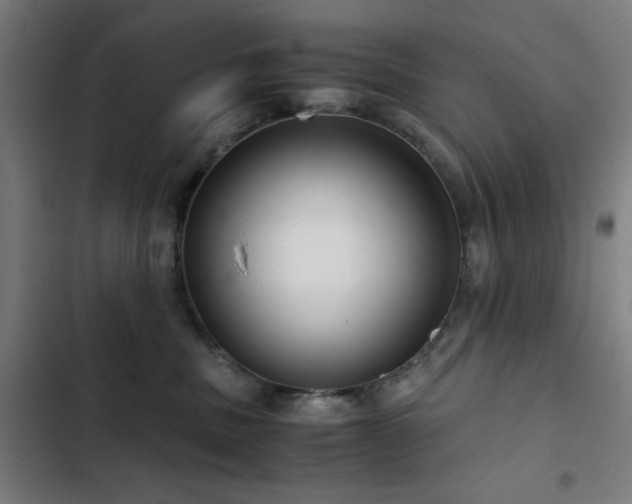 X0000103410379200809121311