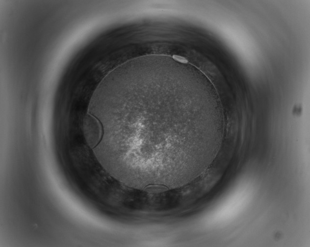 X0000103410383200809121311