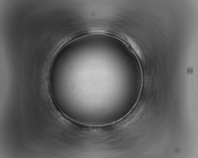 X0000103410385200809121310