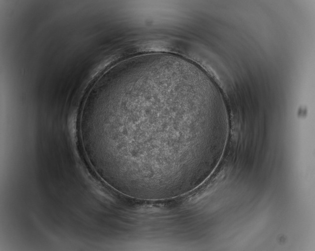 X0000103410386200809121310