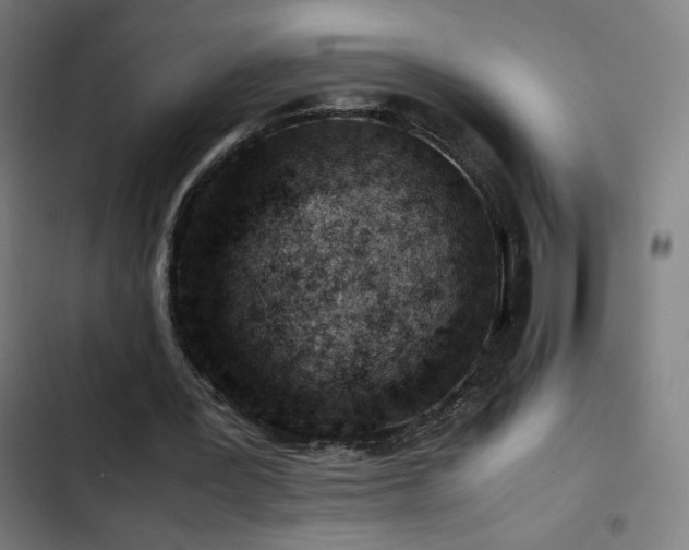 X0000103410387200809121310