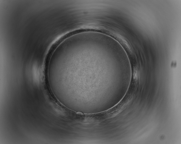 X0000103410388200809121310