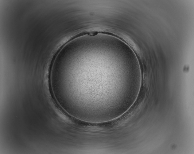 X0000103410389200809121310