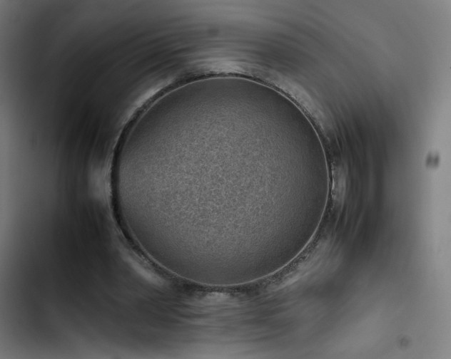 X0000103410390200809121310