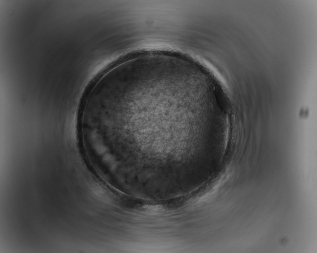 X0000103410391200809121310