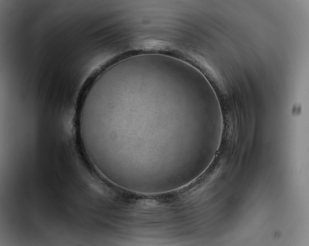 X0000103410392200809121310