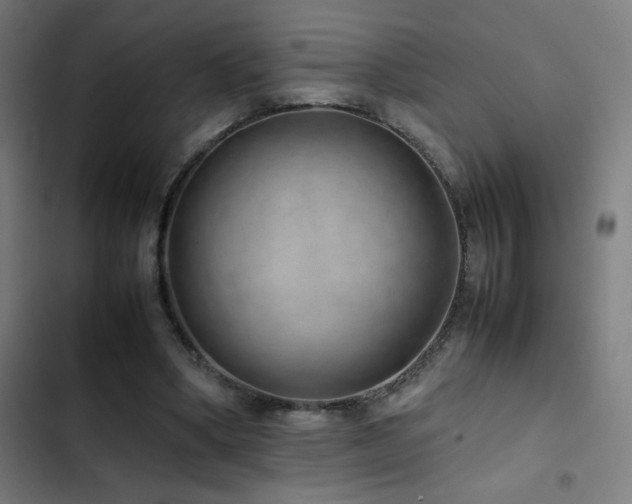 X0000103410394200809121310