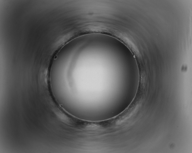 X0000103410397200809121310