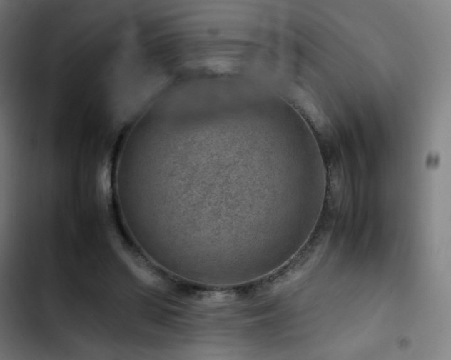 X0000103410398200809121310