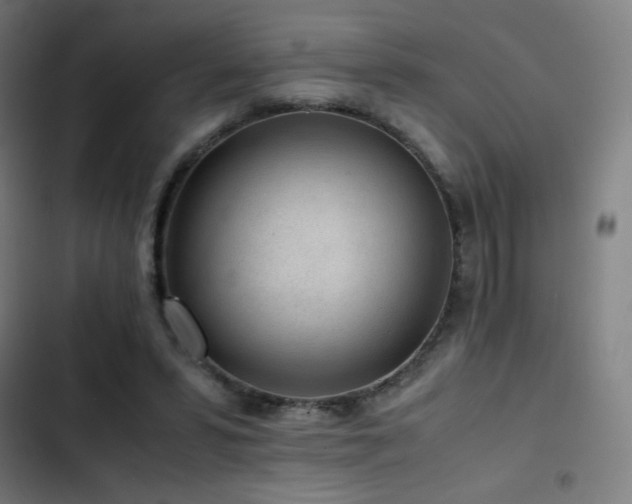 X0000103410399200809121310