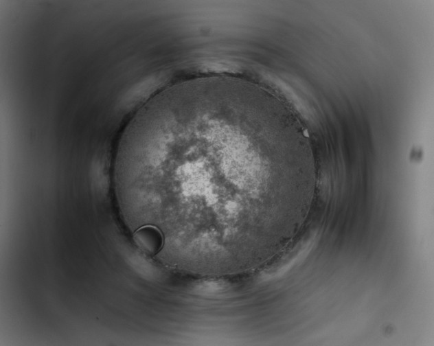 X0000103410402200809121310