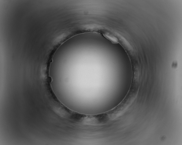 X0000103410403200809121310