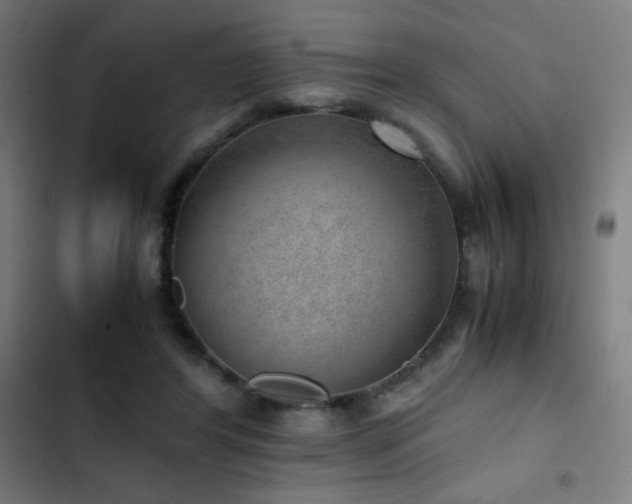 X0000103410404200809121310