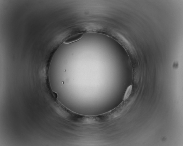 X0000103410405200809121310