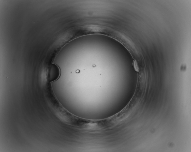 X0000103410406200809121310